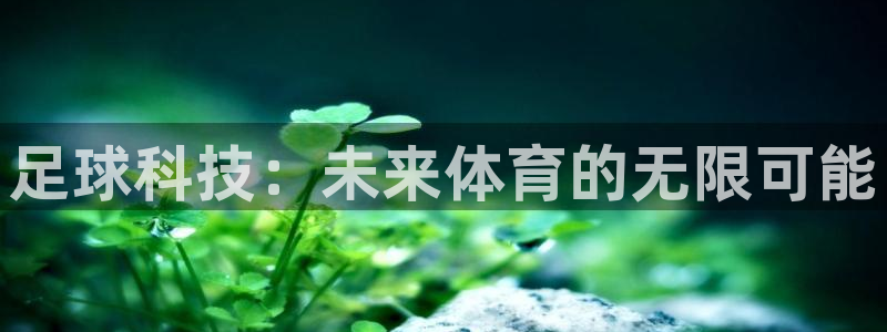 足球科技：未来体育的无限可能