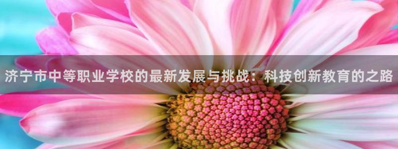 济宁市中等职业学校的最新发展与挑战：科技创新教育的之路