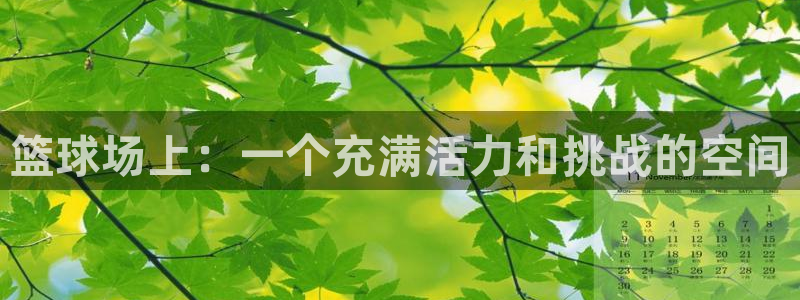 篮球场上：一个充满活力和挑战的空间