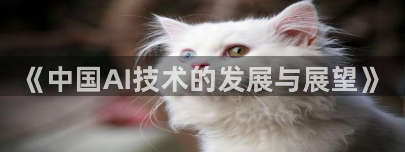 《中国AI技术的发展与展望》