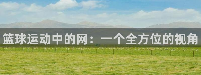 篮球运动中的网：一个全方位的视角
