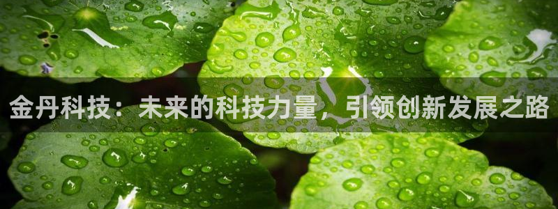 金丹科技：未来的科技力量，引领创新发展之路