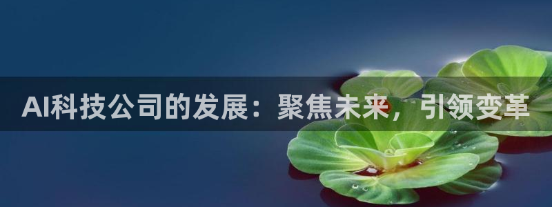 AI科技公司的发展：聚焦未来，引领变革